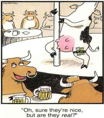 cow pole dance