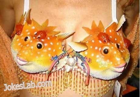 funny Japanese bra, golden fish