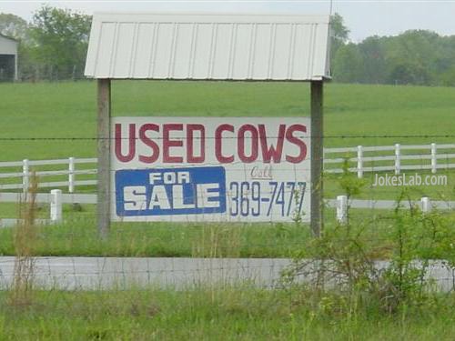 funny yard sign, used cow for sale