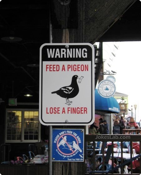 funny sign, feed a pigeon, lose a finger