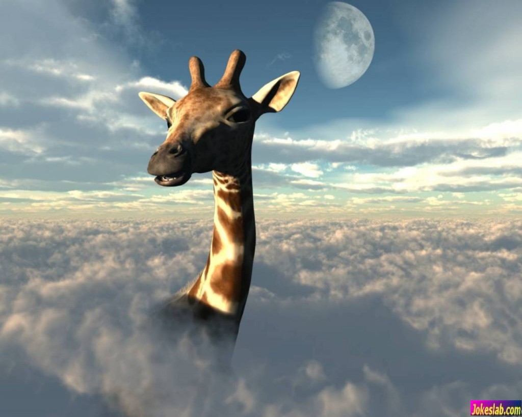funny picture:Giraffe in the cloud:giraffe-n-1024x819.jpg