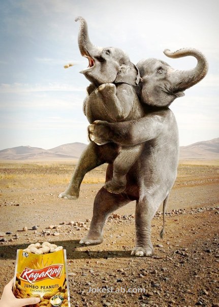funny kayaking peanuts ad, joyful elephants