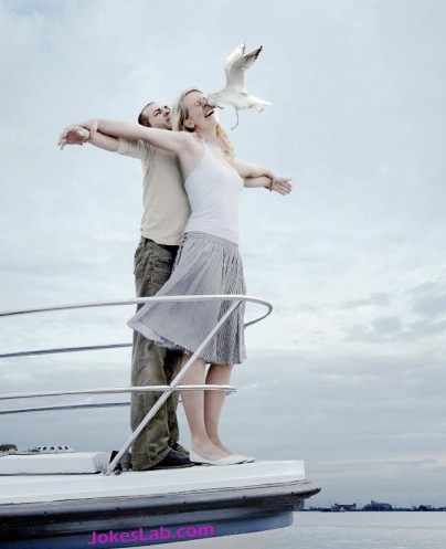 funny photo bomb, seagull spoils the romantic moment